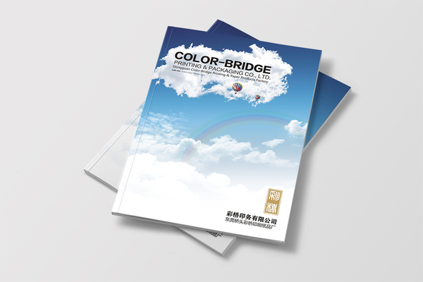 东莞桥头彩桥印刷企业形象画册设计